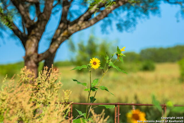 Listing photo id 16 for 3911 County Road 1000