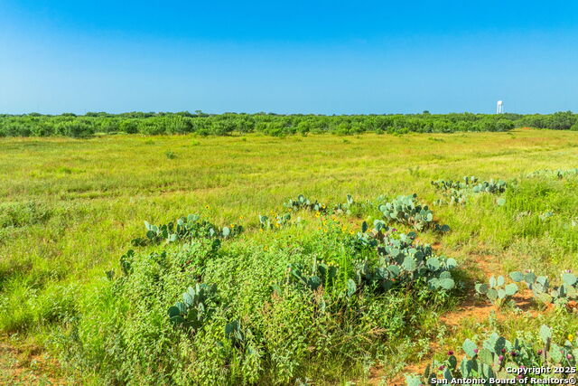 Listing photo id 2 for 3911 County Road 1000