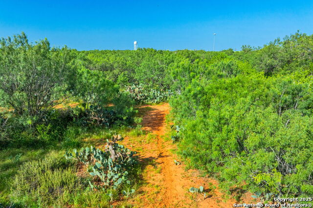 Listing photo id 6 for 3911 County Road 1000