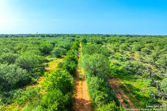 Listing photo id 7 for 3911 County Road 1000