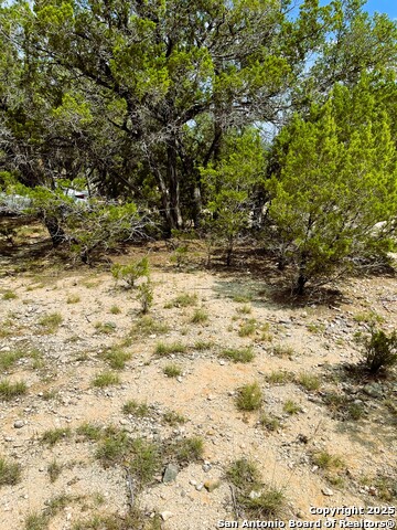 Image 3 of 5 For Lot 475 Topside Trail