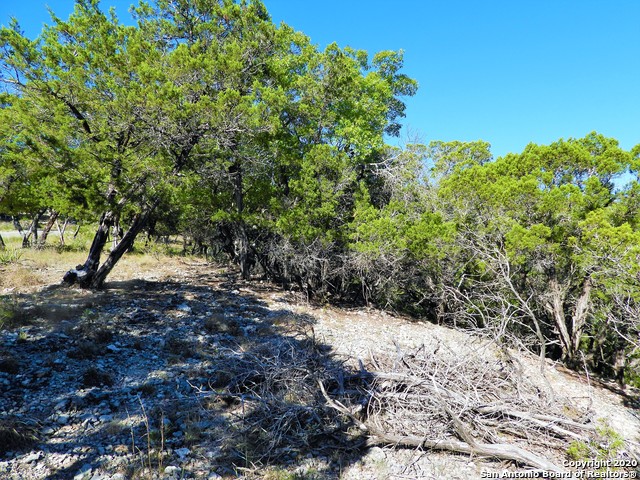 Listing photo id 12 for Lot10a-16a,9-11 Plum Cove Road