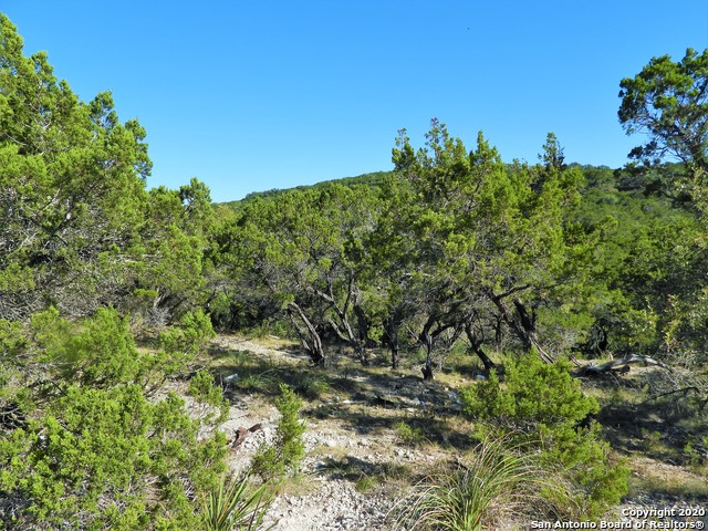 Listing photo id 17 for Lot10a-16a,9-11 Plum Cove Road