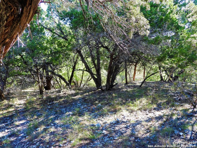 Listing photo id 2 for Lot10a-16a,9-11 Plum Cove Road