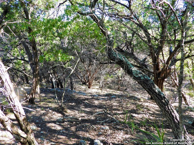 Listing photo id 3 for Lot10a-16a,9-11 Plum Cove Road