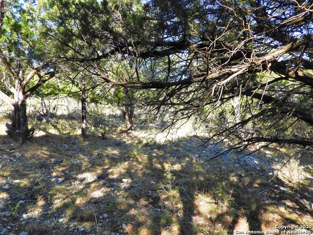 Listing photo id 5 for Lot10a-16a,9-11 Plum Cove Road