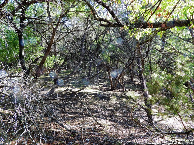 Listing photo id 6 for Lot10a-16a,9-11 Plum Cove Road