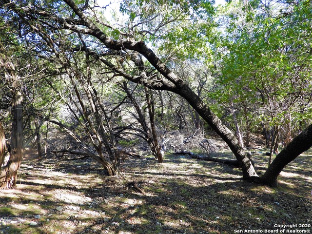 Listing photo id 7 for Lot10a-16a,9-11 Plum Cove Road