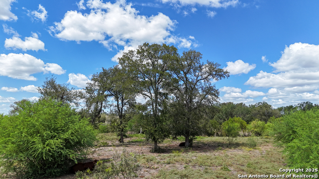 Listing photo id 8 for 4444 Fm 1339