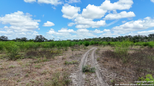 Listing photo id 9 for 4444 Fm 1339