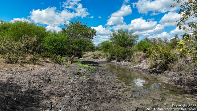 Listing photo id 11 for 4444 Fm 1339