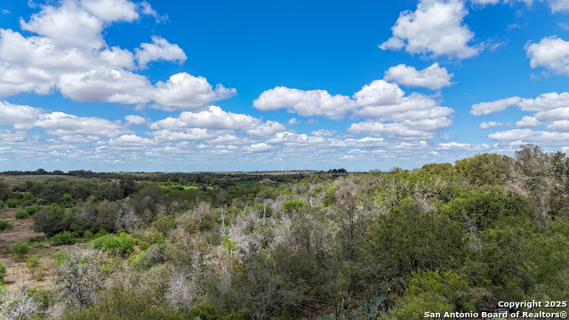 Listing photo id 12 for 4444 Fm 1339