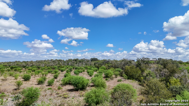 Listing photo id 15 for 4444 Fm 1339