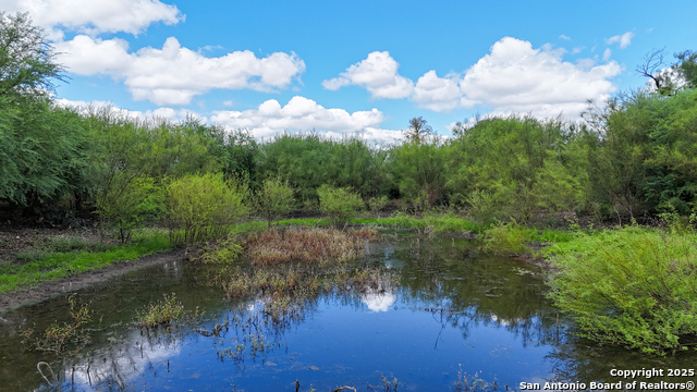 Listing photo id 4 for 4444 Fm 1339