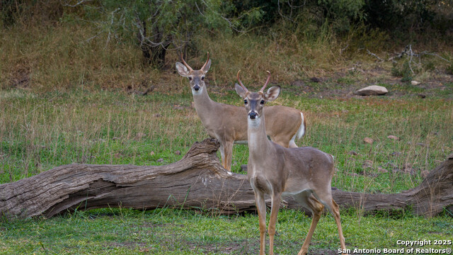 Image 2 of 39 For 28084 Delafield