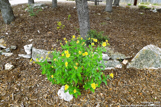 Image 44 of 44 For 1497 Pebble Beach Rd