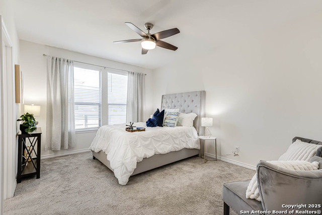 Image 16 of 29 For 4650 Trevor Way
