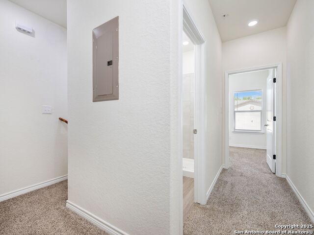 Listing photo id 22 for 7302 Mary Abbott