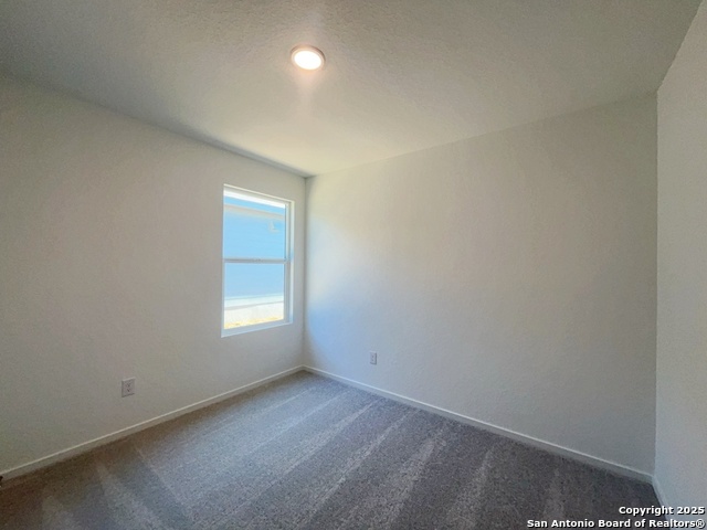 Listing photo id 20 for 1922 Musk Rose