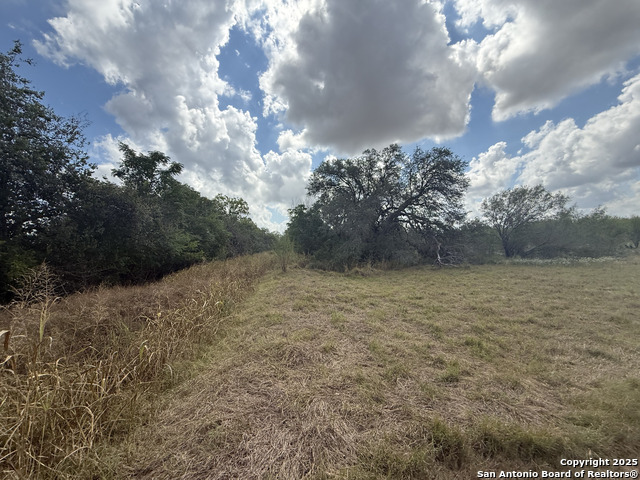 Image 8 of 9 For 14398 Greenwood