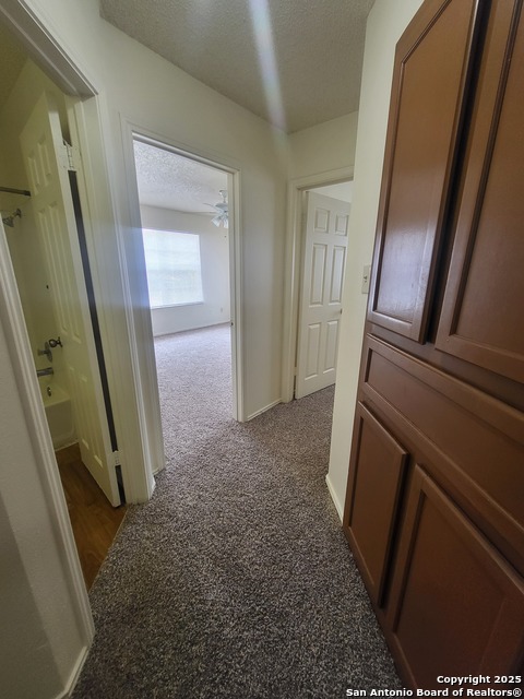 Image 9 of 13 For 11611 Capotillo  1