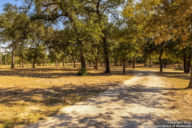 Listing photo id 3 for 15835 Us Highway 90 E