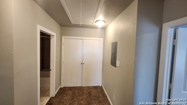 Listing photo id 14 for 171 Tedder  