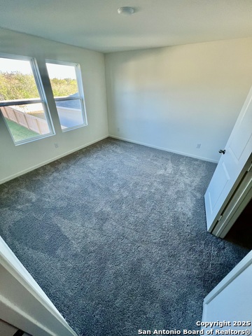 Image 5 of 9 For 3226 Golden Dandelion