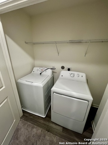 Image 8 of 9 For 3226 Golden Dandelion