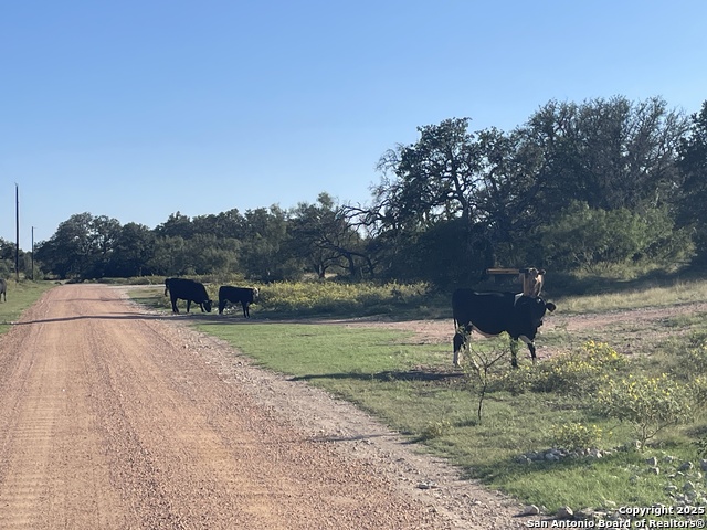 Details for 3200 Elm Springs Trl, Menard, TX 76859