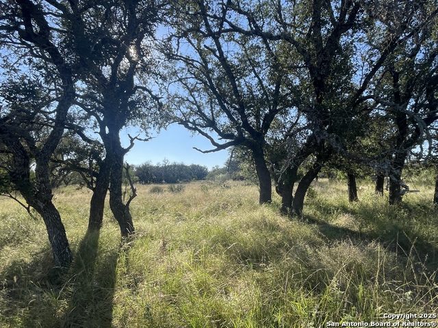 Image 10 of 13 For 3200 Elm Springs Trl