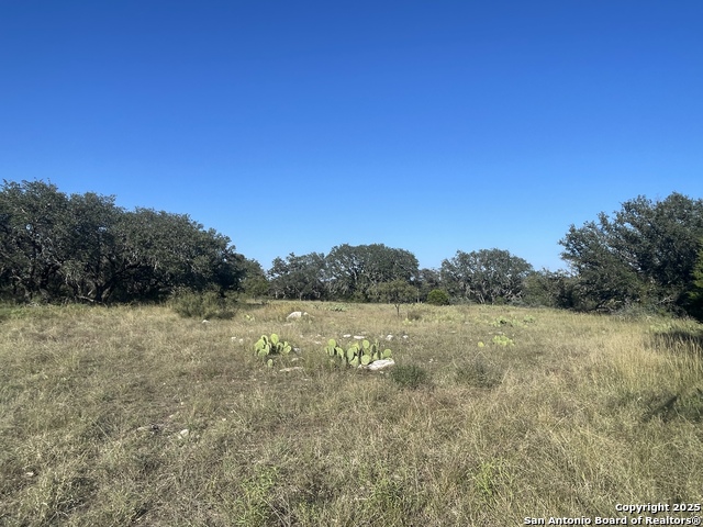 Image 11 of 13 For 3200 Elm Springs Trl