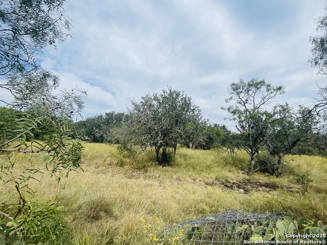 Image 6 of 13 For 3200 Elm Springs Trl