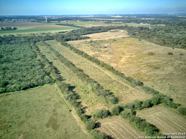 Listing photo id 2 for Tbd Concordia Ln
