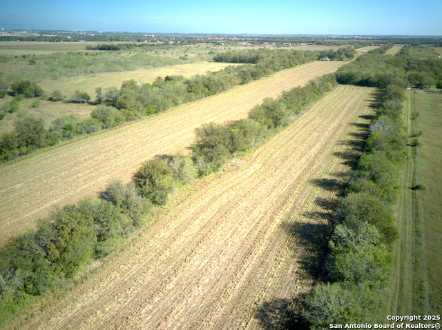 Listing photo id 3 for Tbd Concordia Ln