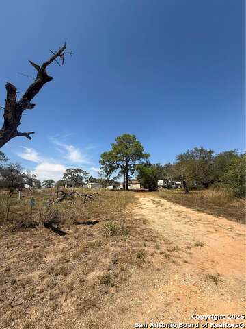 Image 7 of 10 For 219 Johnny  