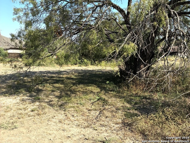 Listing photo id 3 for 0 Old Austin Rd