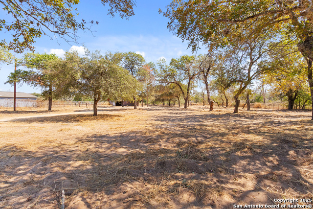 Image 18 of 37 For 1595 Marbach