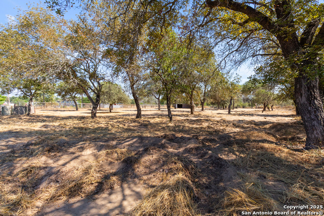 Image 19 of 37 For 1595 Marbach