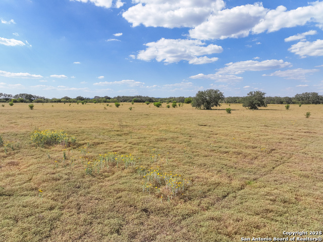 Image 12 of 23 For Tbd Lot 131 Utopia Oaks