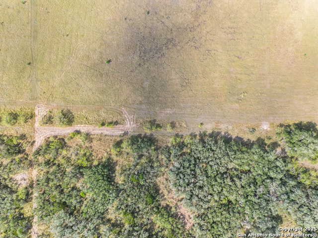 Image 19 of 23 For Tbd Lot 131 Utopia Oaks