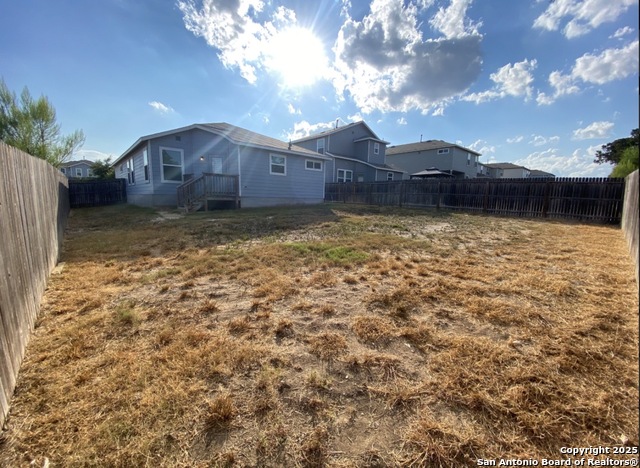 Image 10 of 11 For 122 Moscovy Duck