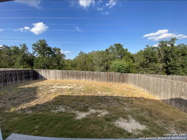 Image 11 of 11 For 122 Moscovy Duck