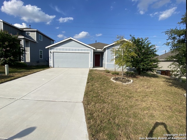 Image 2 of 11 For 122 Moscovy Duck