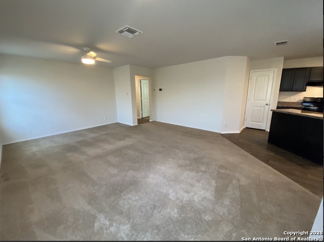 Image 4 of 11 For 122 Moscovy Duck