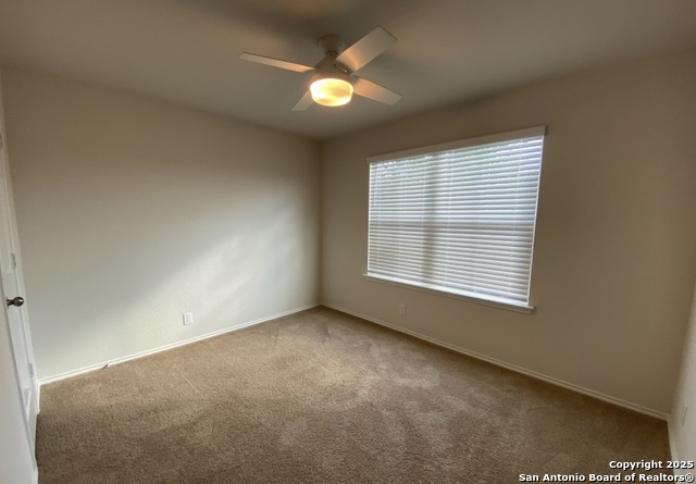 Image 8 of 11 For 122 Moscovy Duck