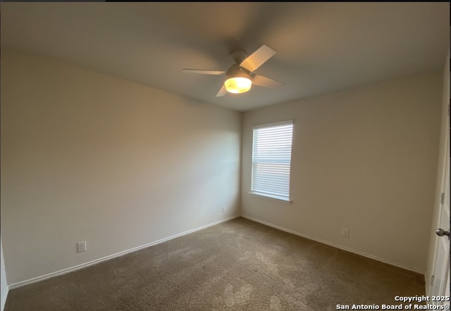 Image 9 of 11 For 122 Moscovy Duck