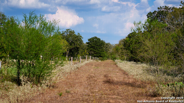 Listing photo id 8 for 916 County Road 421