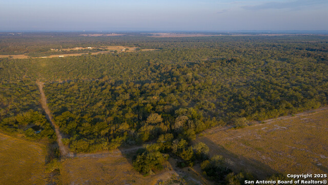 Listing photo id 20 for 916 County Road 421