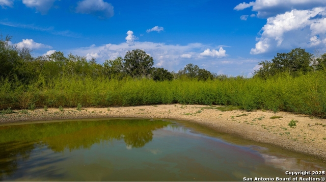 Listing photo id 1 for 916 County Road 421